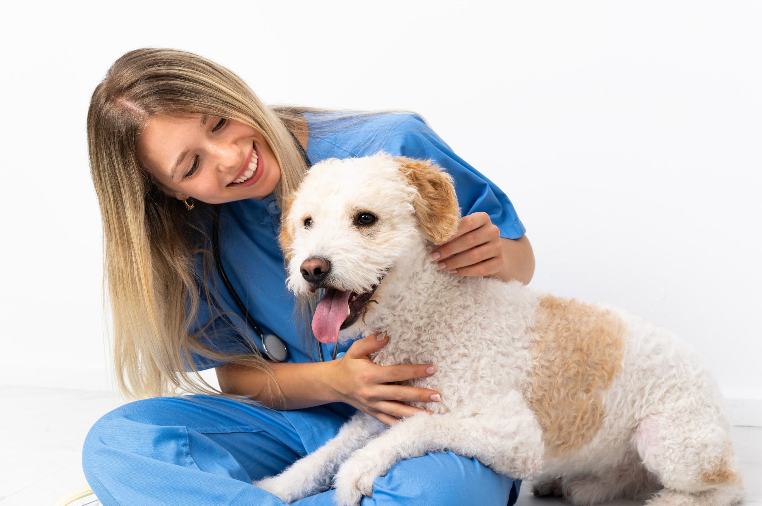 PURE - Pet Urgent Response and Emergency