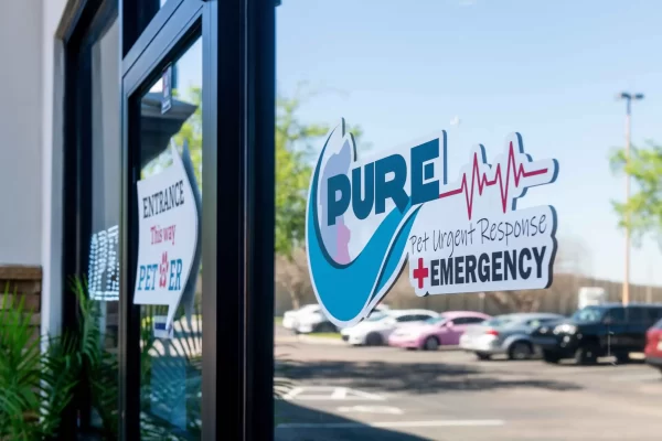 Pet Urgent Response and Emergency