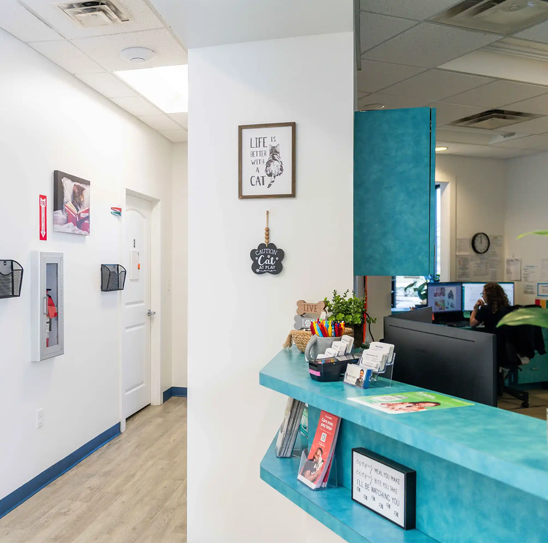 Bright veterinary clinic reception area with front desk, decor, and staff working at computer – pet urgent response and emergency