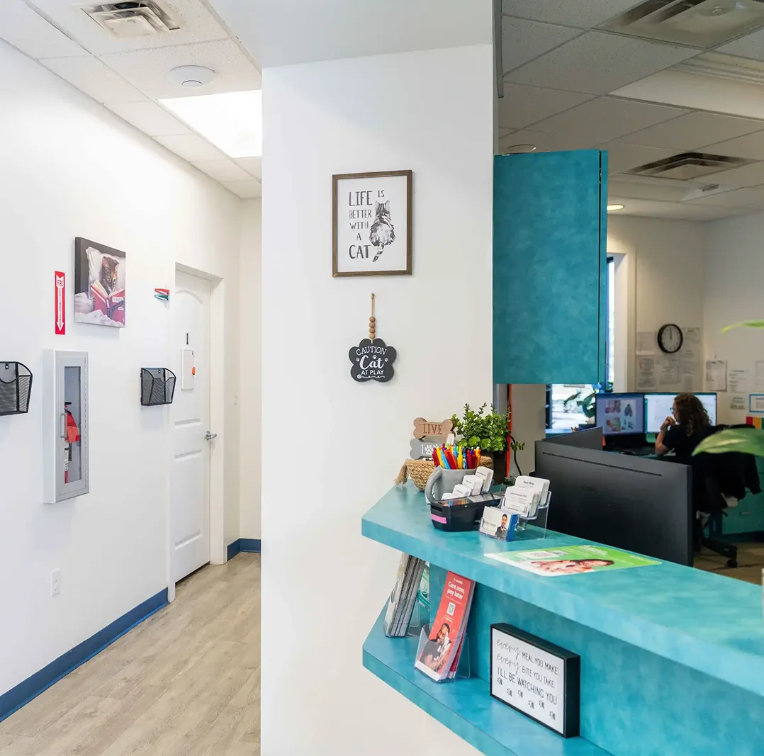 Veterinary Clinic Reception Area – pet urgent response and emergency Bright veterinary clinic reception area with front desk, decor, and staff working at computer – pet urgent response and emergency