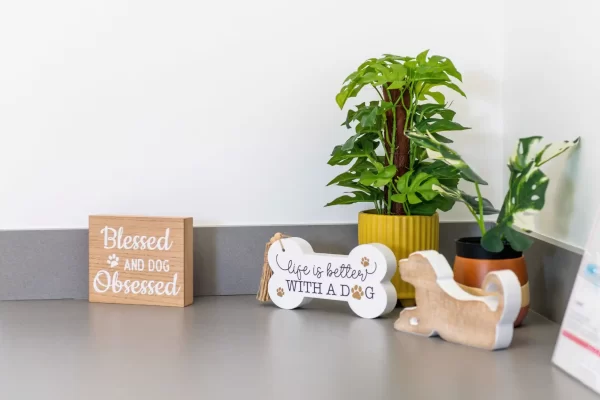 plants & dog decor 11